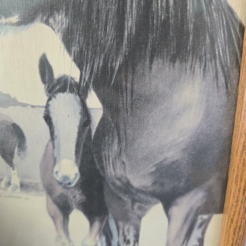 Framed Richard Dick Lynch Pencil Drawing? of Horses 1976 Mom & Fowl - Picture 4 of 8